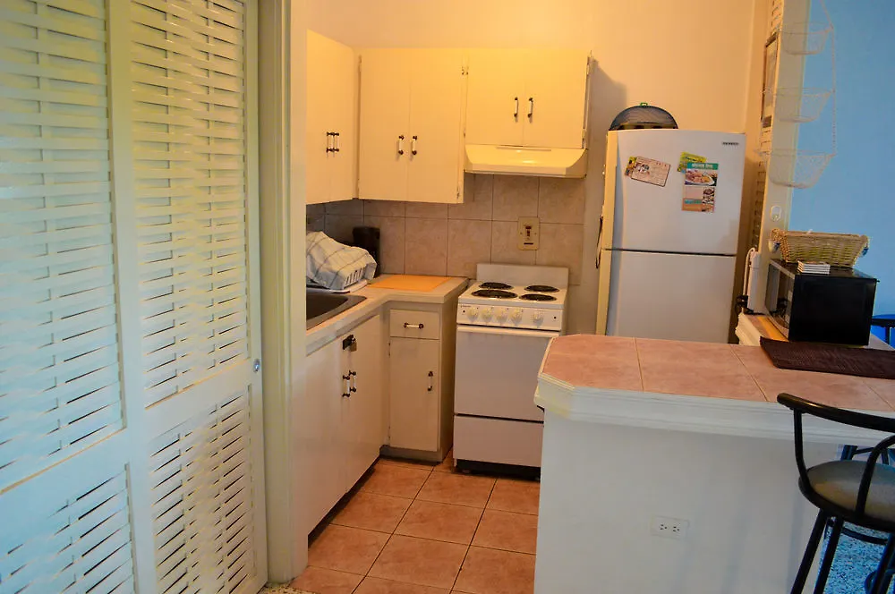 Sky Lounge Beach Studio Apartment Montego Bay