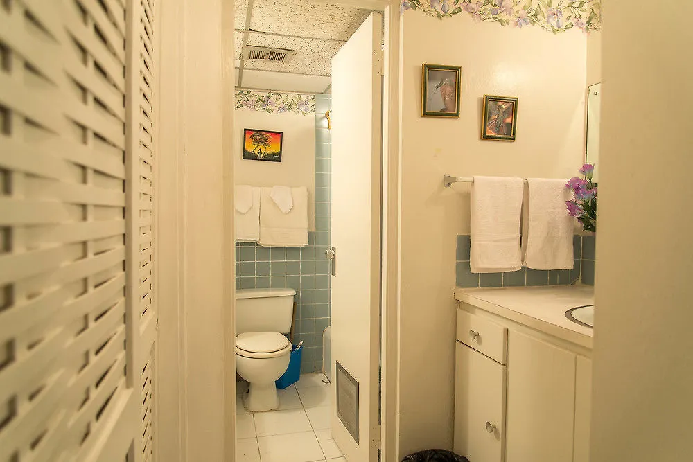 Sky Lounge Beach Studio Apartment Montego Bay